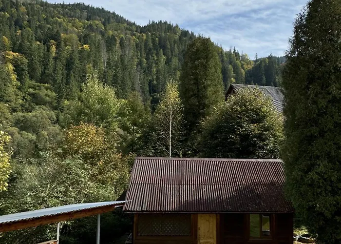 Otel гуцулик *