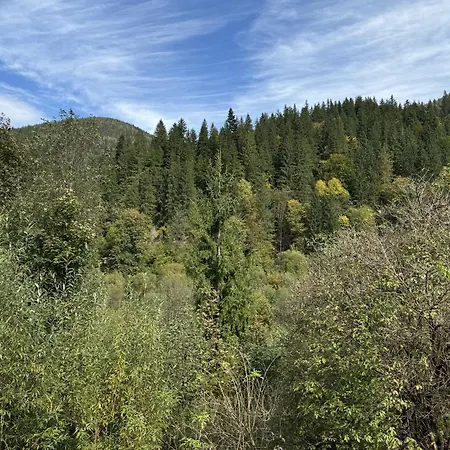 гуцулик Hotel *