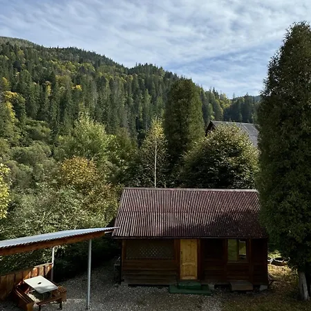 гуцулик Hotel